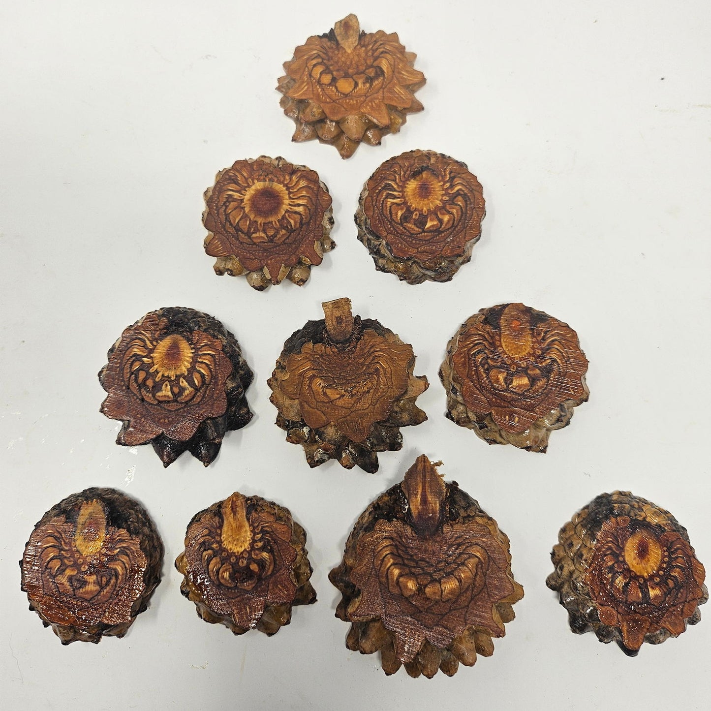 10 Medium to Large Knobcone Pine Cone Slices for Jewelry Crafts - Aphorial