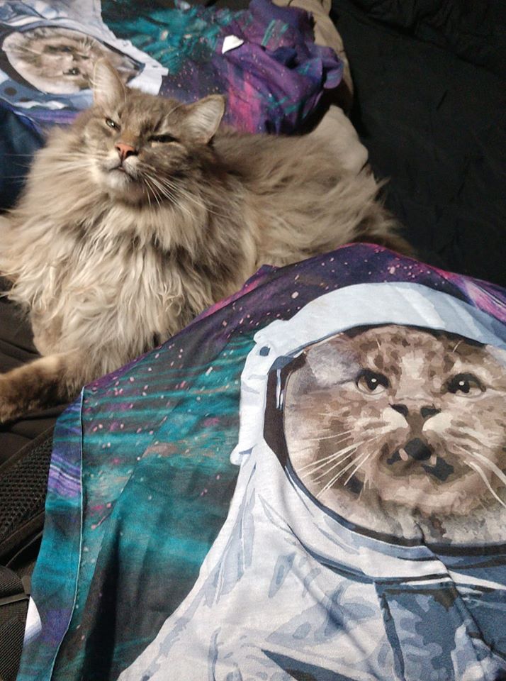 Clearance - TShirt - Space Cat All over Print