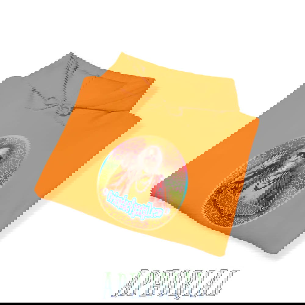 Hooded Pullover Sweatshirt - Friends of Goa Gil - Aphorial