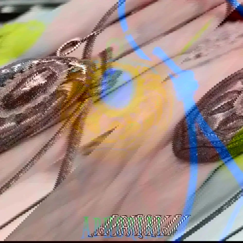 Solar Flare Lapis Lazuli Knobcone Pine Cone Pendant Necklace - Aphorial