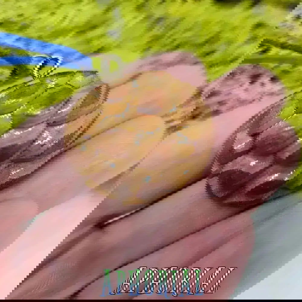 Solar Flare Lapis Lazuli Knobcone Pine Cone Pendant Necklace - Aphorial