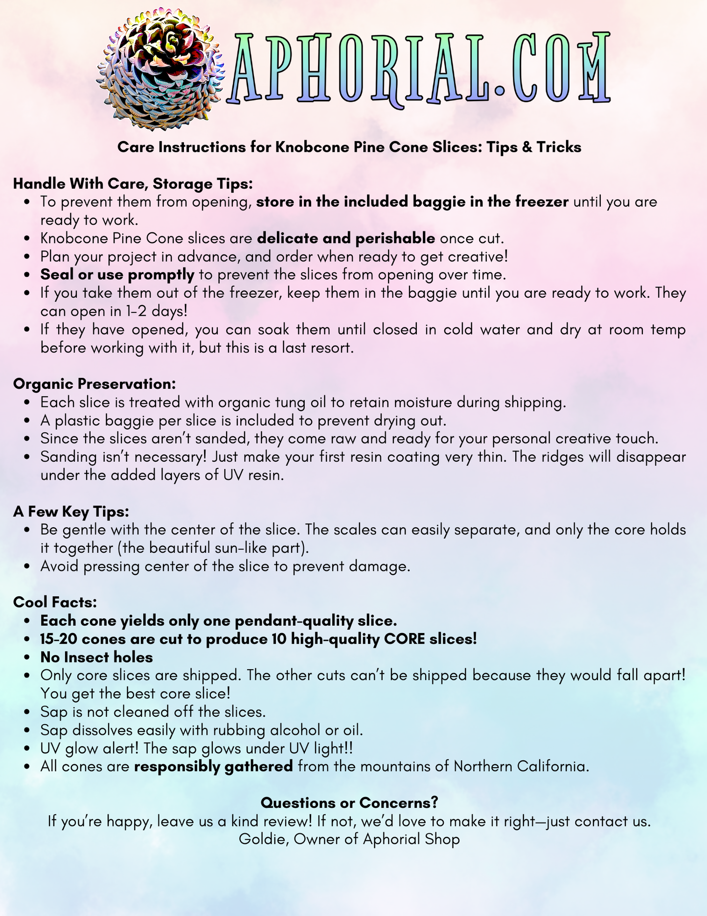 Knobcone Pine Cone Slices for Jewelry Crafts Core Heart Cut