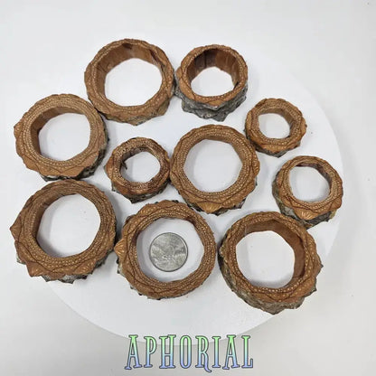 20 Knobcone Pine Cone Rings Circles for Jewelry Crafts - Aphorial