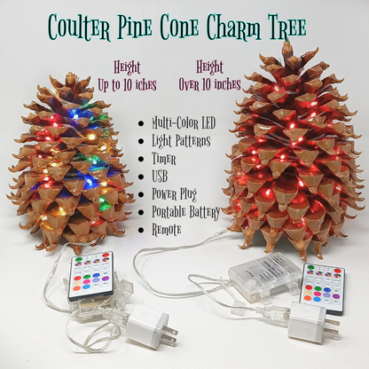 Coulter Pine Cone Charm Tree - Largest Cone in the World, Tabletop Christmas, Centerpiece