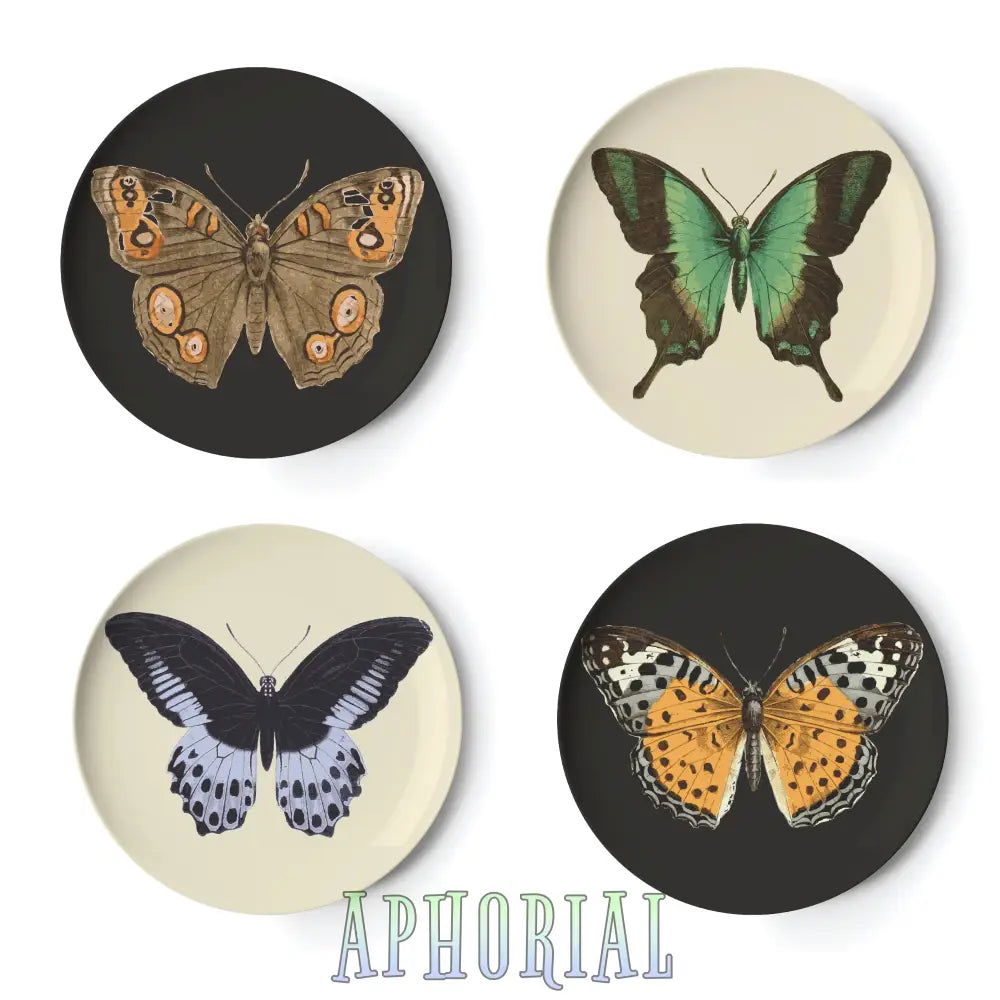 Metamorphosis Coaster S/4 - Aphorial