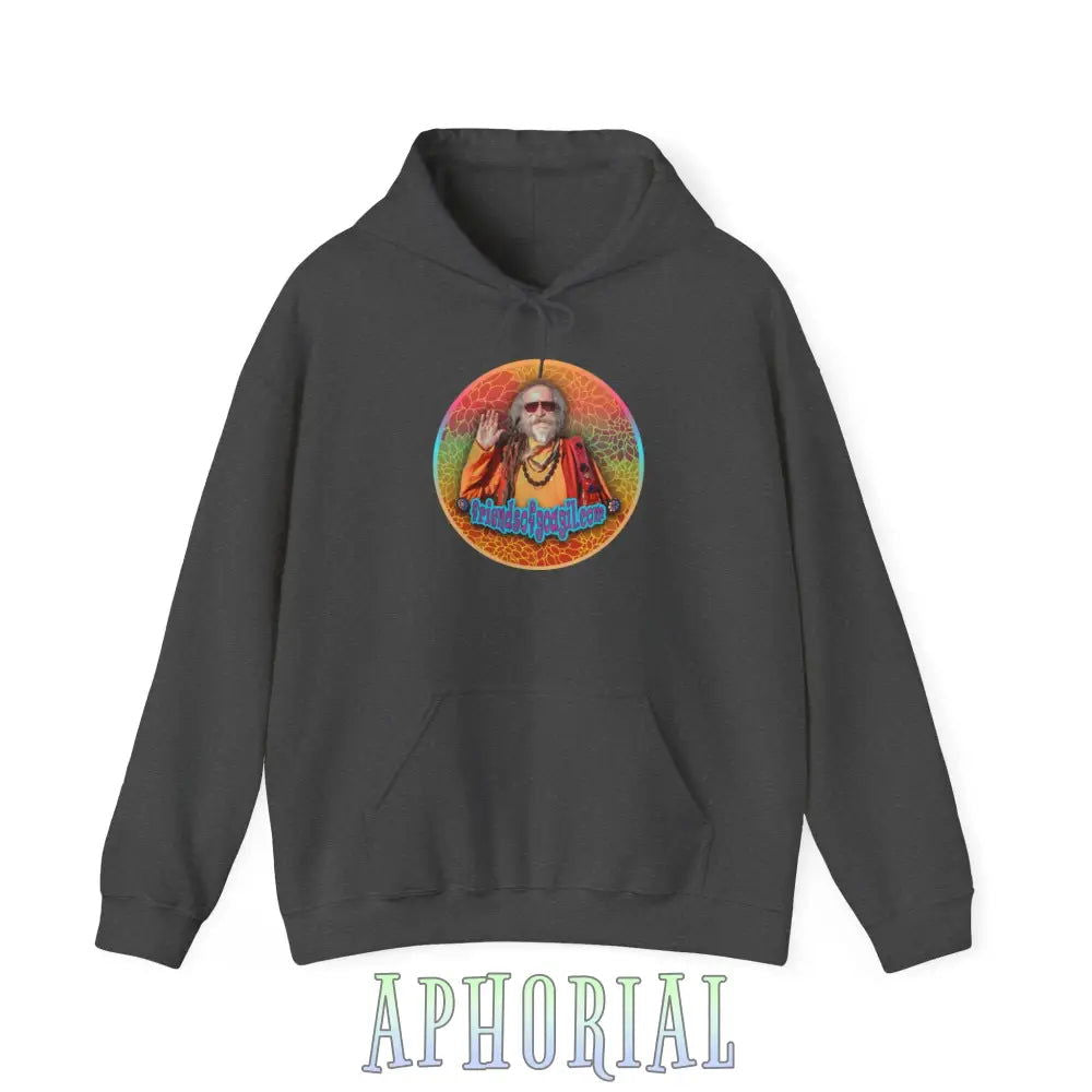 Hooded Pullover Sweatshirt - Friends of Goa Gil - Aphorial