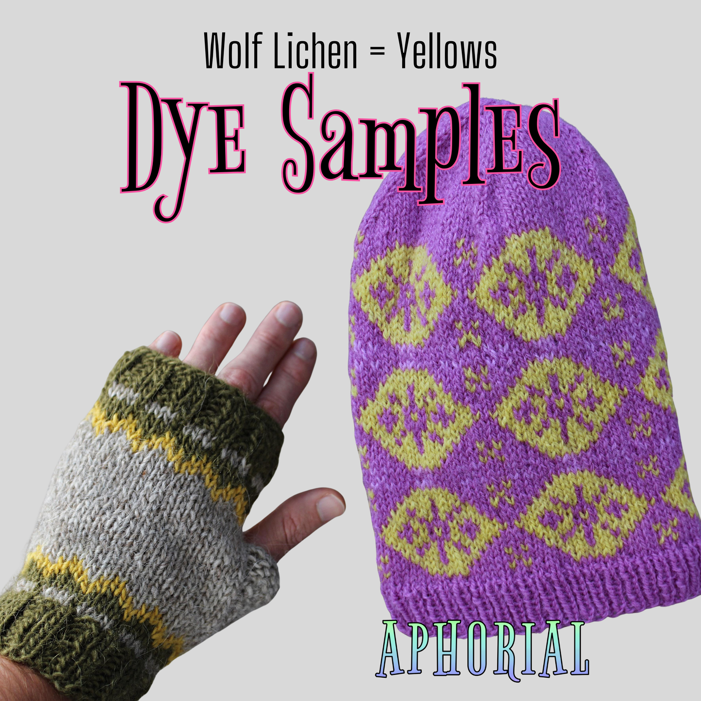 Wolf Lichen (Letharia Columbiana) for Arts, Crafts, Dyes & Decorations