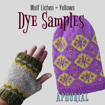 Wolf Lichen (Letharia Columbiana) for Arts, Crafts, Dyes & Decorations