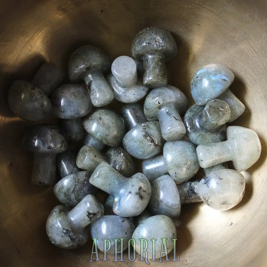 Mini Crystal Mushrooms Labradorite