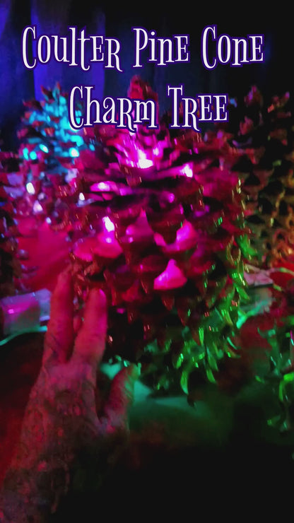 Coulter Pine Cone Charm Tree - Largest Cone in the World, Tabletop Christmas, Centerpiece