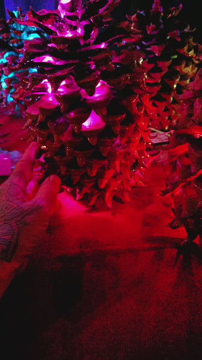 Coulter Pine Cone Charm Tree - Largest Cone in the World, Tabletop Christmas, Centerpiece